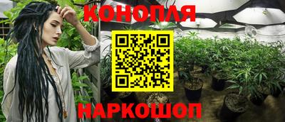 круглые Гусев
