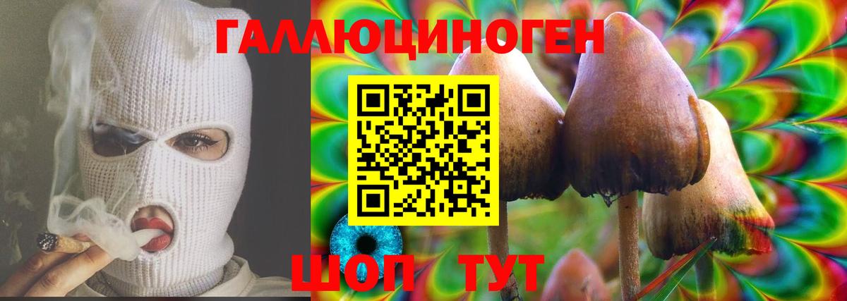 Псилоцибиновые грибы мицелий  Вход с VPN  что такое наркотик  Коммунар 